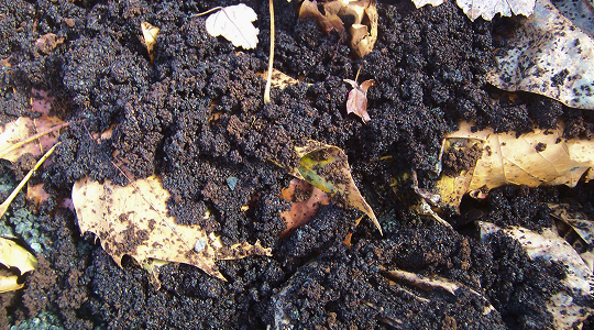 Combine the coffee grounds with dry materials such as leaves, shredded paper, or cardboard.