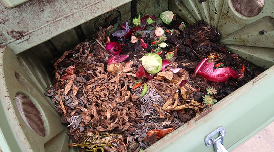 Place the mixture in your compost bin or pile, layer with other organic waste to help it break down.