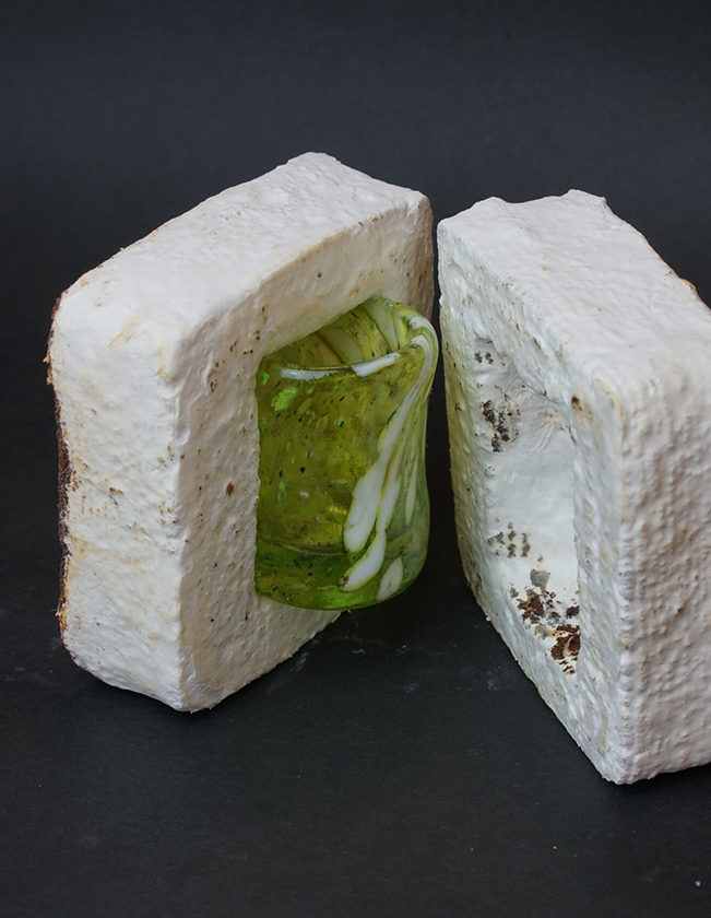 Coffee Grounds And Reishi Spores Form Compostable Plastic