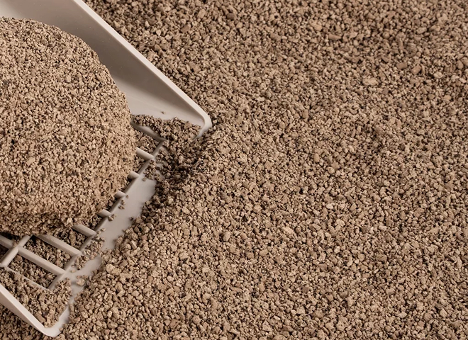 Coffee Grounds Cat Litter: A Sustainable Choice For Cat Care